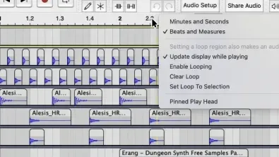 A picture of Audacity&#x27;s &#x27;Snap-to&#x27; dropdown